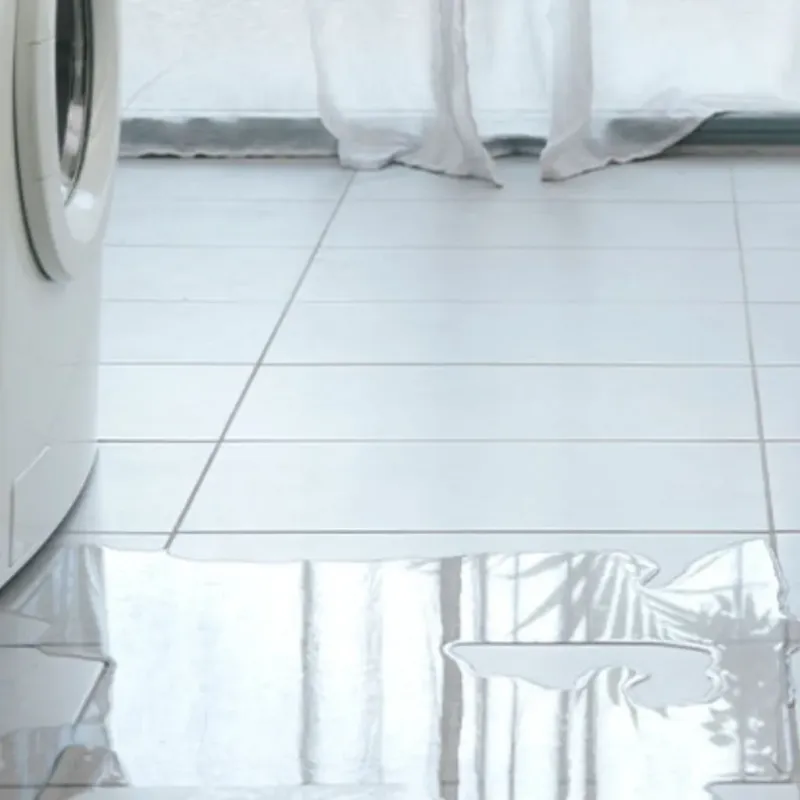 Appliance Leak Cleanup in Edgewater, IL