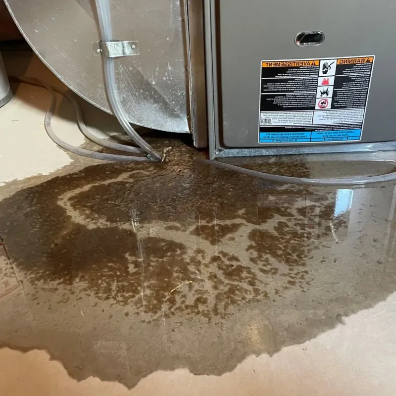 Pipe Burst and Leak Restoration in Edgewater, IL