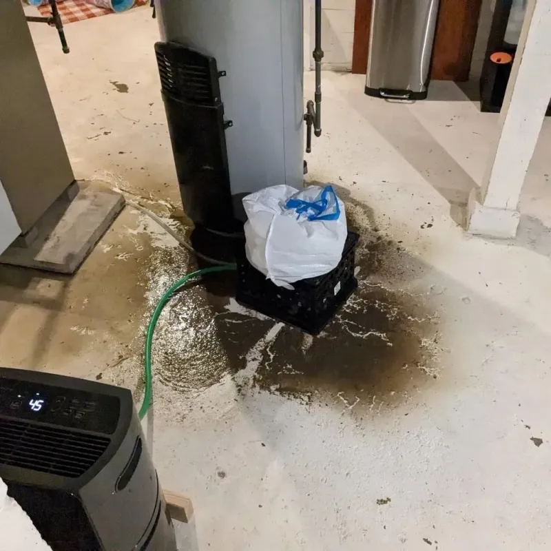Sewage Backup Cleanup Service in Edgewater, IL
